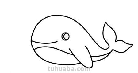 海藻怎么画简笔画 怎么画珊瑚礁的简笔画? 海藻怎么画简笔画 怎么画珊瑚礁的简笔画?