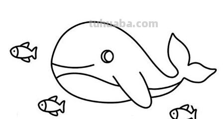 海藻怎么画简笔画 怎么画珊瑚礁的简笔画? 海藻怎么画简笔画 怎么画珊瑚礁的简笔画?