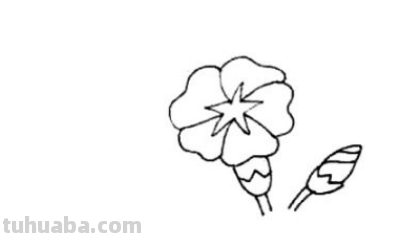 喇叭花画法一步一步