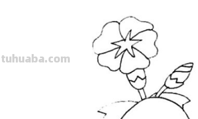 喇叭花画法一步一步