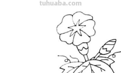 喇叭花画法一步一步