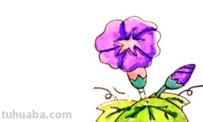 喇叭花画法一步一步
