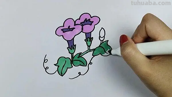 小喇叭花怎么画