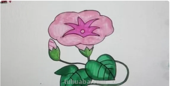 喇叭花怎么画简单好看