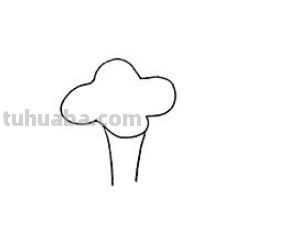 牵牛花的简笔画怎么画最好看又简单