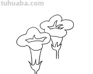 牵牛花的简笔画怎么画最好看又简单
