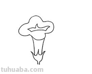 牵牛花的简笔画怎么画最好看又简单