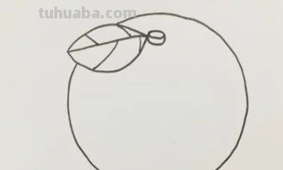 橘子怎么画简单又漂亮好看