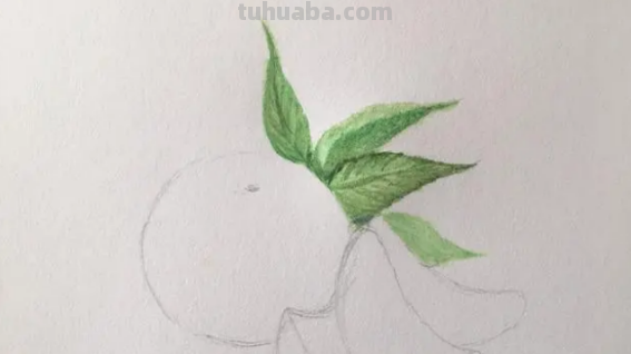 橘子简笔画怎么画