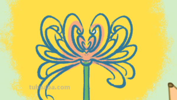 菊花怎么画简笔画