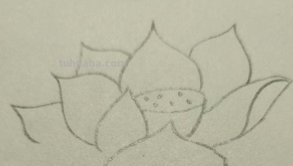 彩铅花卉怎么画步骤 荷花彩铅绘画步骤过程? 彩铅花卉怎么画步骤 荷花彩铅绘画步骤过程?