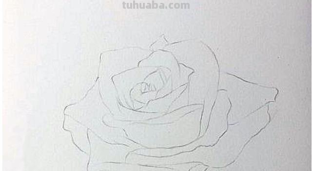 彩铅花卉怎么画步骤 荷花彩铅绘画步骤过程? 彩铅花卉怎么画步骤 荷花彩铅绘画步骤过程?