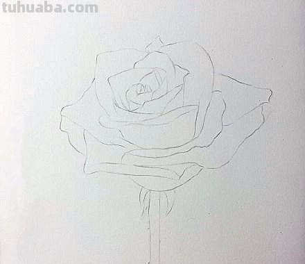 彩铅花卉怎么画步骤 荷花彩铅绘画步骤过程? 彩铅花卉怎么画步骤 荷花彩铅绘画步骤过程?