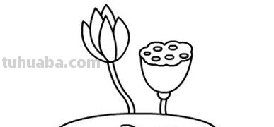 水中植物有哪些简笔画