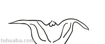 水中植物有哪些简笔画