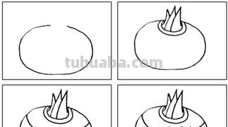 水中植物有哪些简笔画