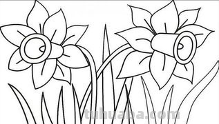 水中植物有哪些简笔画