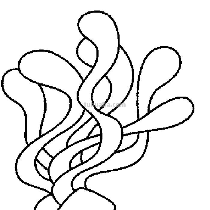 水中植物有哪些简笔画