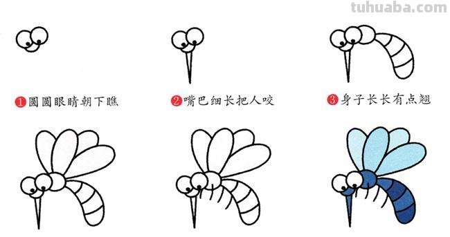每天学一幅简笔画-蚊子昆虫简笔画步骤图片大全 ​