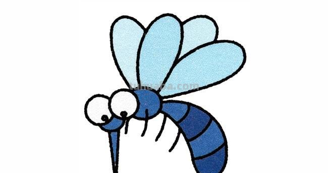 每天学一幅简笔画-蚊子昆虫简笔画步骤图片大全 ​