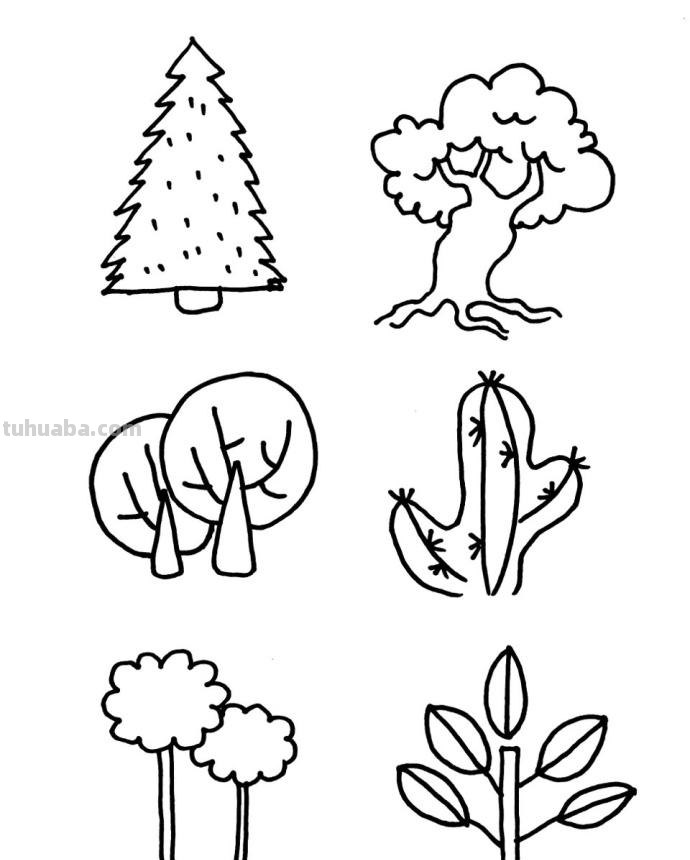 42种树的简笔画不同画法，简单实用~