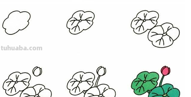 9种植物简笔画小教程~