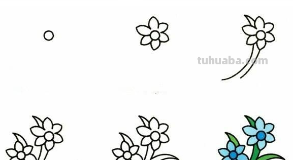 9种植物简笔画小教程~