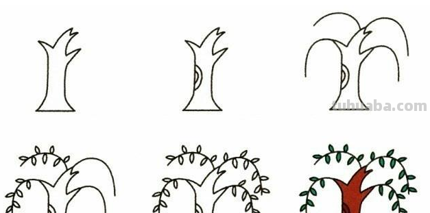 9种植物简笔画小教程~