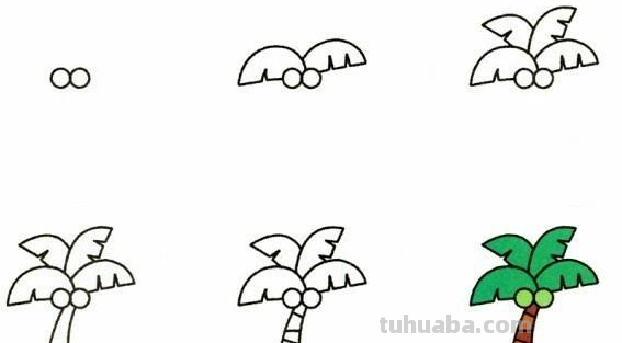 9种植物简笔画小教程~