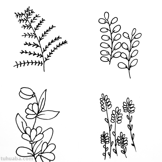 手帐简笔画植物篇，希望你们会喜欢