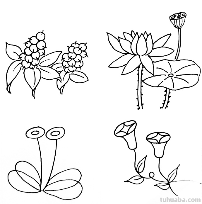 手帐简笔画植物篇，希望你们会喜欢