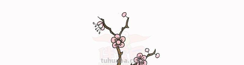 每天学一幅简笔画-简笔画图片大全花草树木