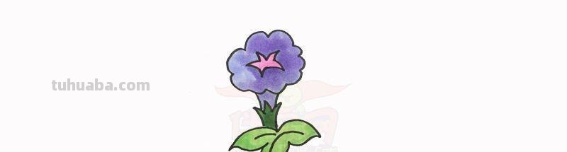 每天学一幅简笔画-简笔画图片大全花草树木