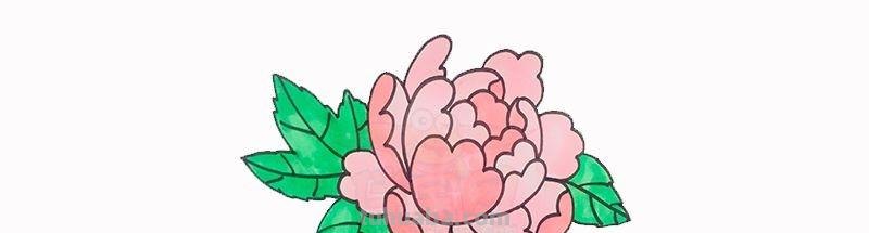 每天学一幅简笔画-简笔画图片大全花草树木