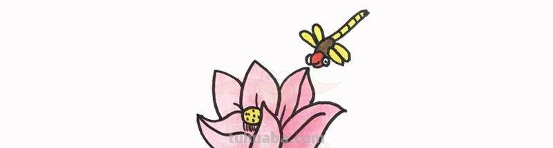 每天学一幅简笔画-简笔画图片大全花草树木