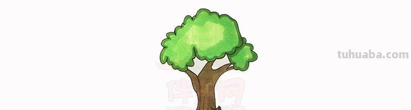 每天学一幅简笔画-简笔画图片大全花草树木