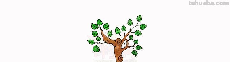 每天学一幅简笔画-简笔画图片大全花草树木
