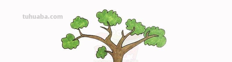 每天学一幅简笔画-简笔画图片大全花草树木