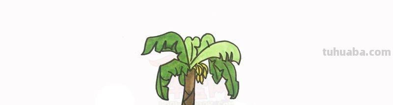 每天学一幅简笔画-简笔画图片大全花草树木