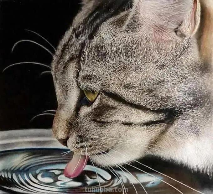 00后少年右眼失明，苦练数十年，终于成为日本顶流喵星人画家