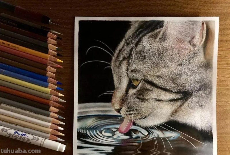 00后少年右眼失明，苦练数十年，终于成为日本顶流喵星人画家