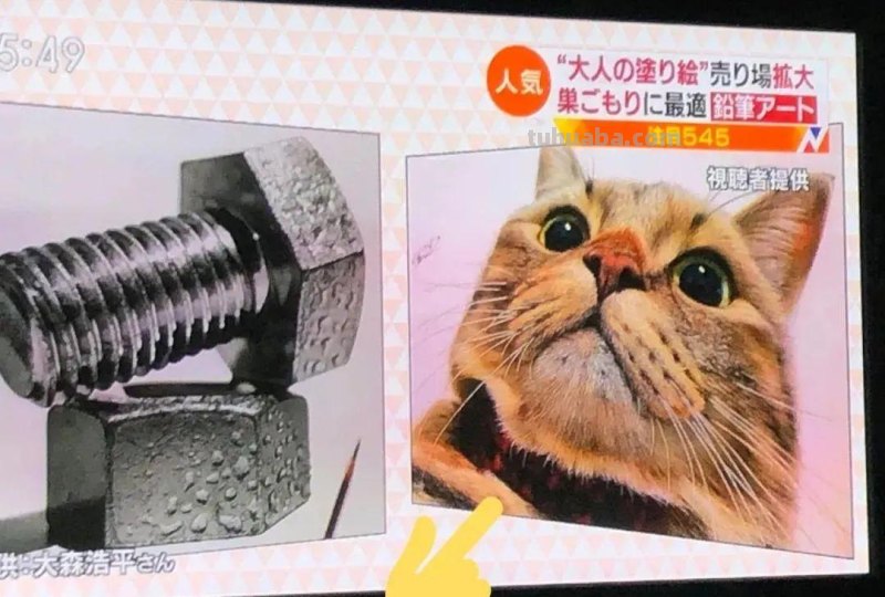 00后少年右眼失明，苦练数十年，终于成为日本顶流喵星人画家