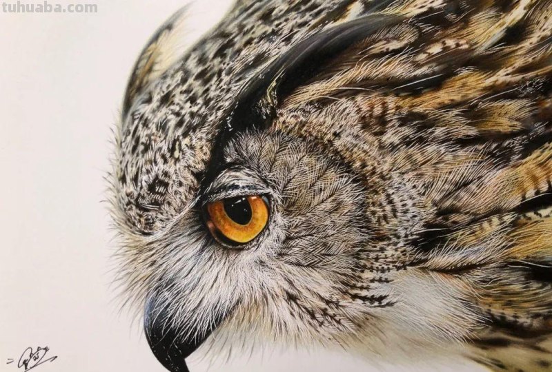 00后少年右眼失明，苦练数十年，终于成为日本顶流喵星人画家