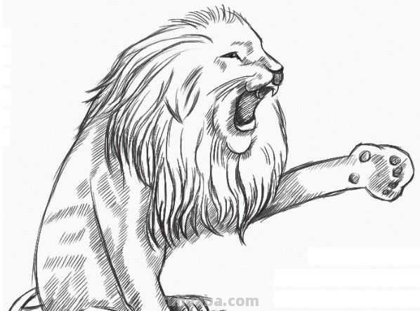 零基础动漫教程：分步骤讲解狮子动漫画法，简单易学，一起来临摹