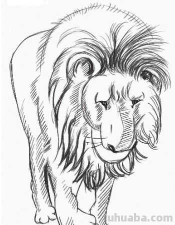 零基础动漫教程：分步骤讲解狮子动漫画法，简单易学，一起来临摹