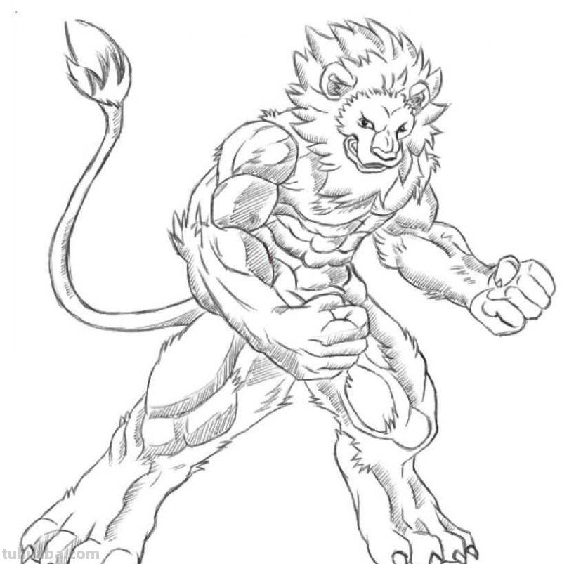 零基础动漫教程：分步骤讲解狮子动漫画法，简单易学，一起来临摹