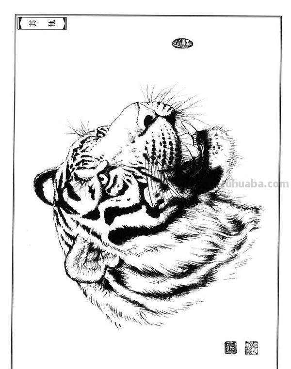 画老虎得注意了