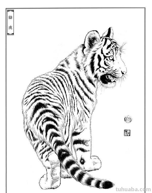 画老虎得注意了