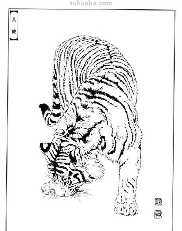 画老虎得注意了