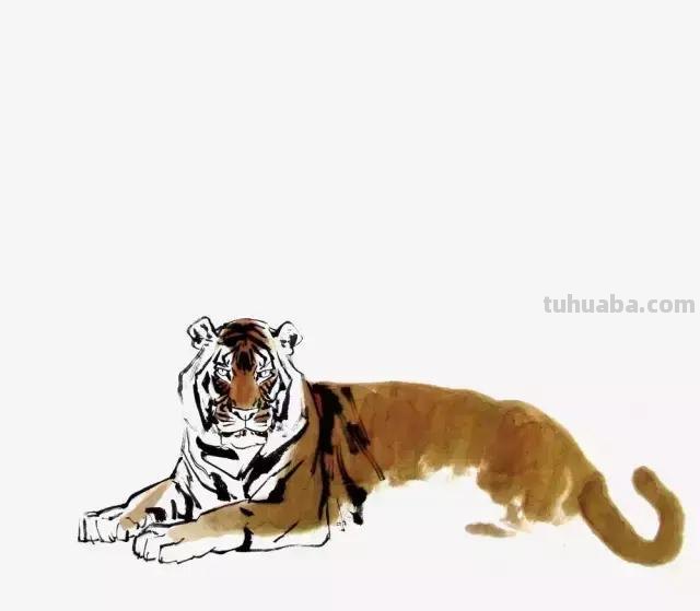 写意虎的画法技法